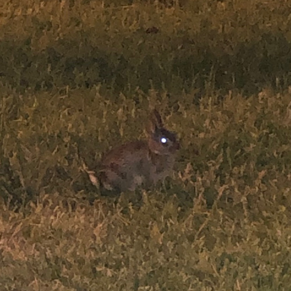 Meet your Posher, Bt